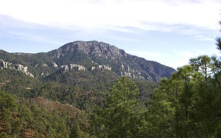 <span class="mw-page-title-main">Cerro Mohinora</span> Extinct volcano in the Mexican state of Chihuahua