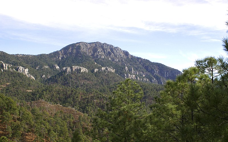 File:CERRO DE MOHINORA.jpg