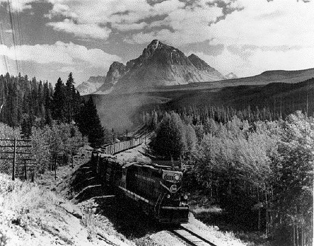 CN GP9 leads a train up Yellowhead Pass.