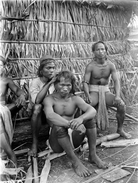 File:COLLECTIE TROPENMUSEUM Dajak mannen reinigen elkaars haar Bulungan Borneo TMnr 10005509.jpg