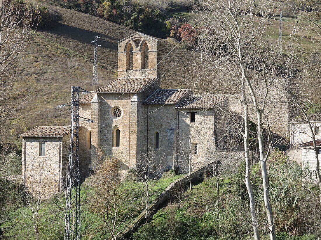 Carpineto della Nora