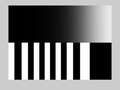 File:Caudal-Regulates-the-Spatiotemporal-Dynamics-of-Pair-Rule-Waves-in-Tribolium-pgen.1004677.s012.ogv