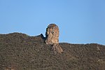 Vignette pour Forêts sèches subtropicales de transition du Sonora et du Sinaloa