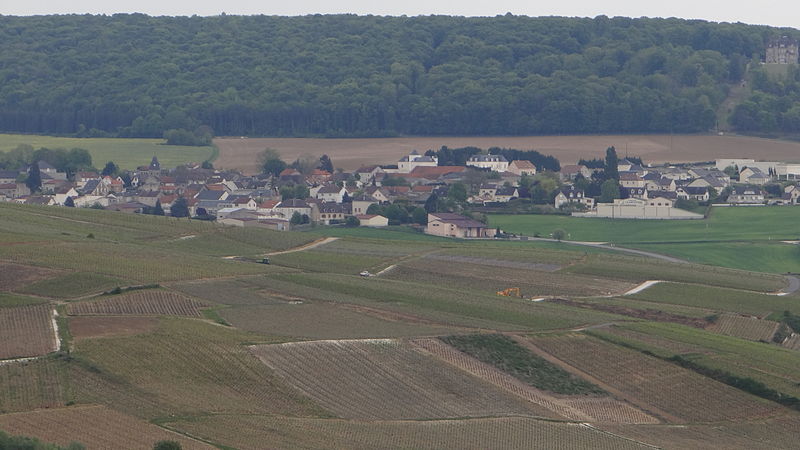 File:Châtillon-sur Marne-020.JPG