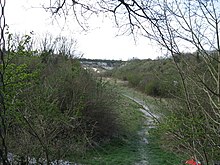 Cherry Hinton yakınlarındaki Tebeşir Çukuru - geograph.org.uk - 805799.jpg