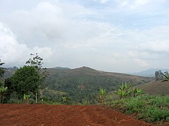 Vue panoramique d'un champ à Bana.