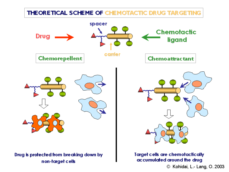 Is Target-Based Drug Discovery Efficient? Discovery and “Off-Target”  Mechanisms of All Drugs