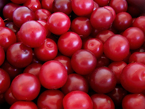Myrobalan or cherry plums