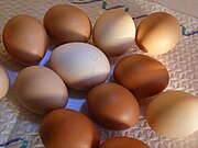 卵類の一種、鶏卵。