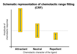 Chemotactic range fitting