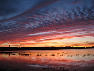 <span class="mw-page-title-main">Muskrat Lake</span> Lake in Ontario, Canada