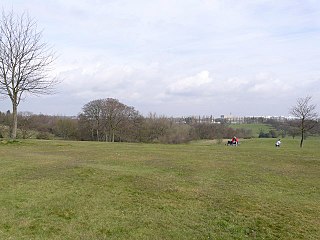 <span class="mw-page-title-main">Cofton Park</span>