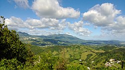 Collores, Las Piedras, Puerto Rico - panoramio (5).jpg