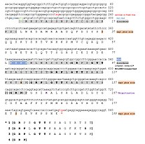 Conceptual translation of the protein-coding region of the C5orf24 mRNA transcript variant 1 (NM_001135586.1) aligned with the corresponding protein sequence (NP_001129058.1). Conceptual Translation of C5orf24 Transcript Variant 1 Protein-Coding Sequence.jpg