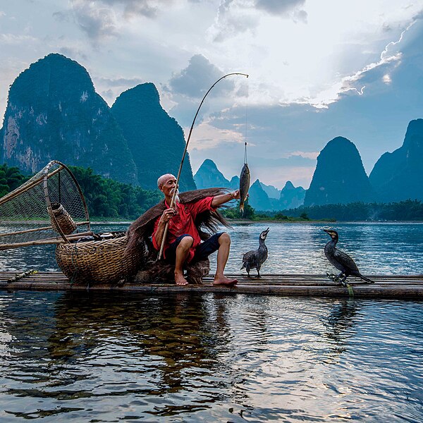 File:Cormorant Fisherman, Yangshuo - 53304263280.jpg