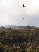 Een Cougarhelikopter is bezig met bluswerkzaamheden in de Schoorlse Duinen tijdens de duinbrand in april 2010