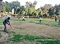 File:Cricket with family from India.jpg