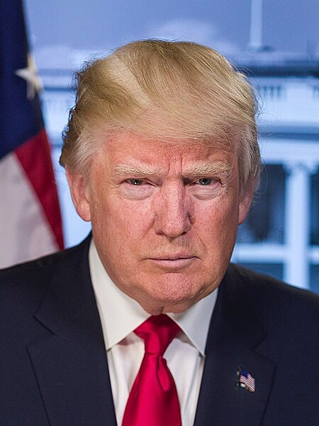 File:DJT Official Portrait cropped.jpg