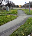Dandelions by the East Lancs Road - geograph.org.uk - 2936599.jpg