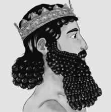 Darius the Great.png