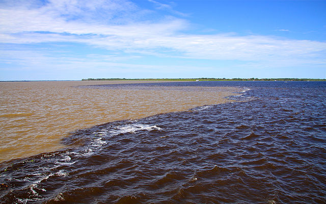White water of the Solimões and black water of the Rio Negro converge to form the Amazon River