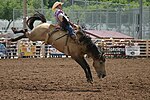 Deadwoo d rodeo 1.jpg 