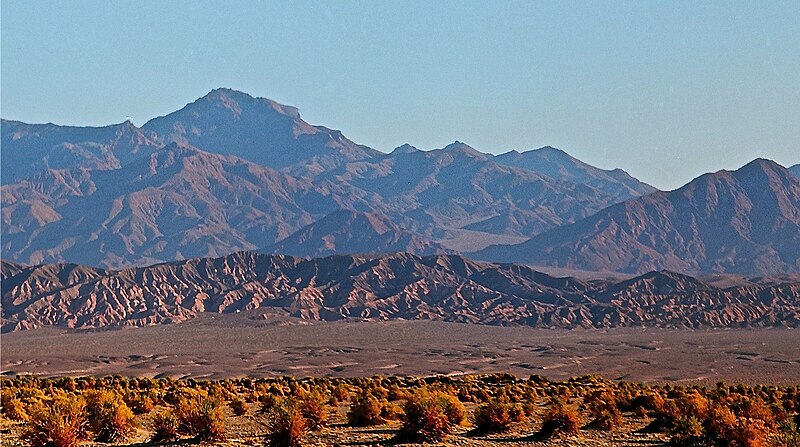 File:Devils Cornfield at Death Valley National Park.jpeg