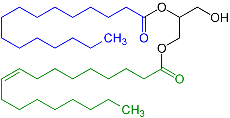 File:Diglyceride Structural Formula V.1.png