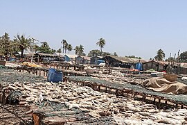 Étals de poisson séché.