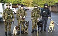 Dog sec 2010 arms explosives search course.jpg