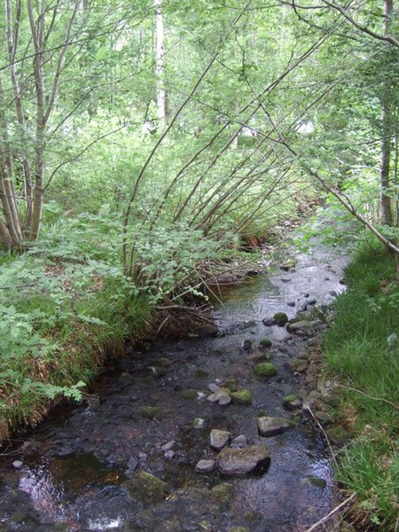 File:Dpwnstream Dinnie Burn - geograph.org.uk - 832029.jpg