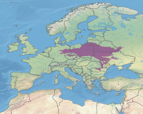 Kort der viser placeringen af Centraleuropæiske blandede skove