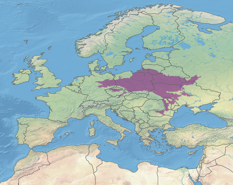 Европа лист. Экорегионы мира. Ecoregions of Europe calculated by Cart [13]..