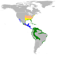 Egretta caerulea map.svg