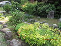 永澤寺ぼたん園 (15)