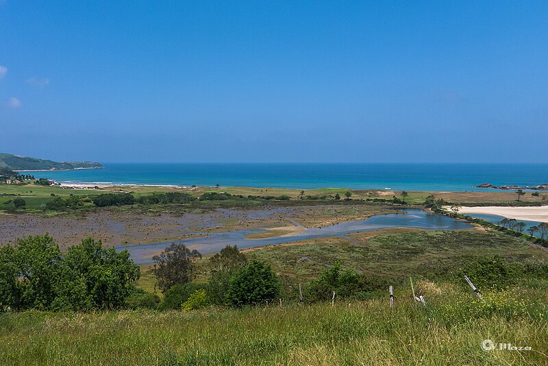 File:El Tejo - Ceceño - Cantabria - panoramio.jpg