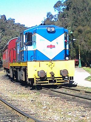 Emu Bay Railway Bo-Bo-nr. 1004.jpg