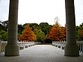 2008年12月6日 (土) 13:29時点における版のサムネイル