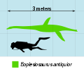 Eoplesiosaurus