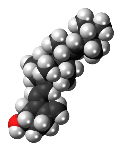 File:Ergocalciferol 3D spacefill.png