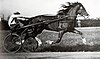 Black and white image of a dark horse trotting aty full speed, pulling a racing sulky and driver.