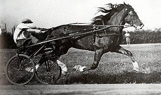 <span class="mw-page-title-main">Kuninkuusravit</span> Horse race