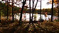 Fall - panoramio - Ron Shawley (1).jpg