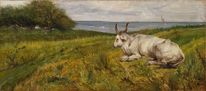 712 Ox lying by the sea label QS:Len,"Ox lying by the sea" 1904