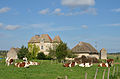 Bâtiment historique et élevage bovin (France)