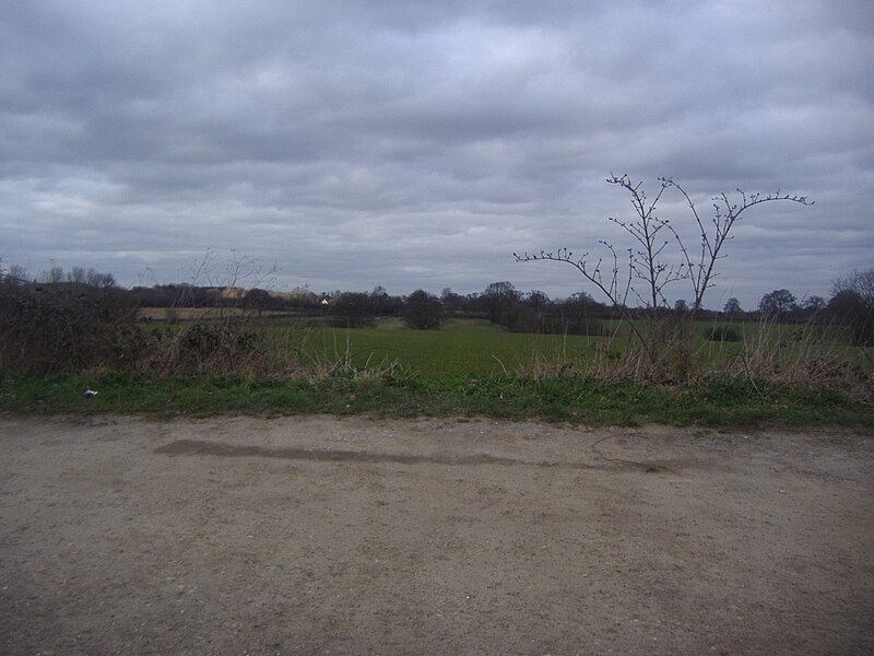 File:Fields by Tyttenhanger Green - geograph.org.uk - 2304156.jpg