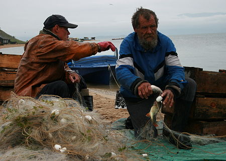 Tập_tin:Fishermen_in_the_Katun,_Baikal.jpg