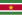 Flag of Suriname.svg