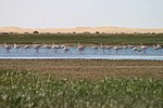 Miniatuur voor Nationaal park Khenifiss