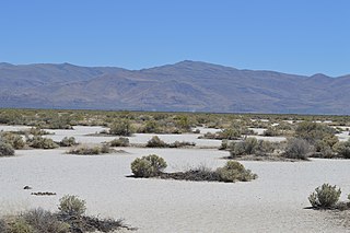 <span class="mw-page-title-main">Flanigan, Nevada</span> Ghost town in Nevada, United States